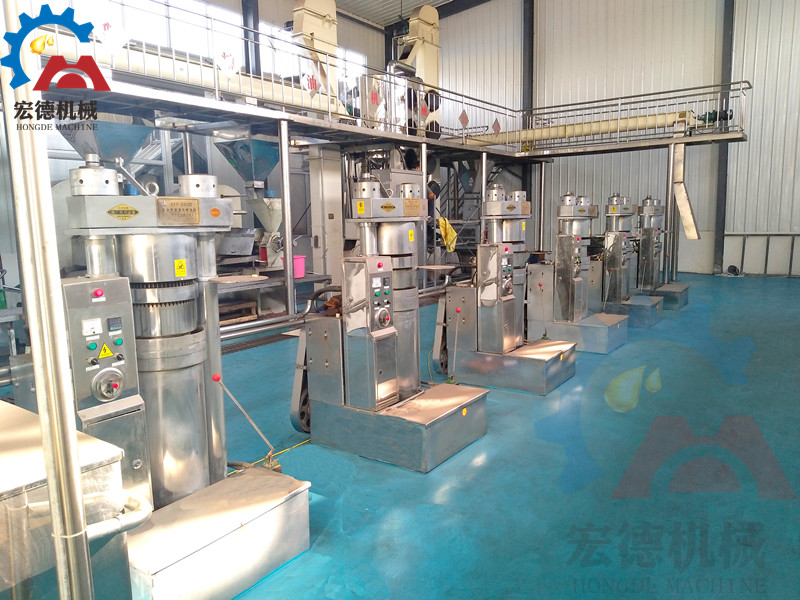 牡丹籽榨油生產(chǎn)線